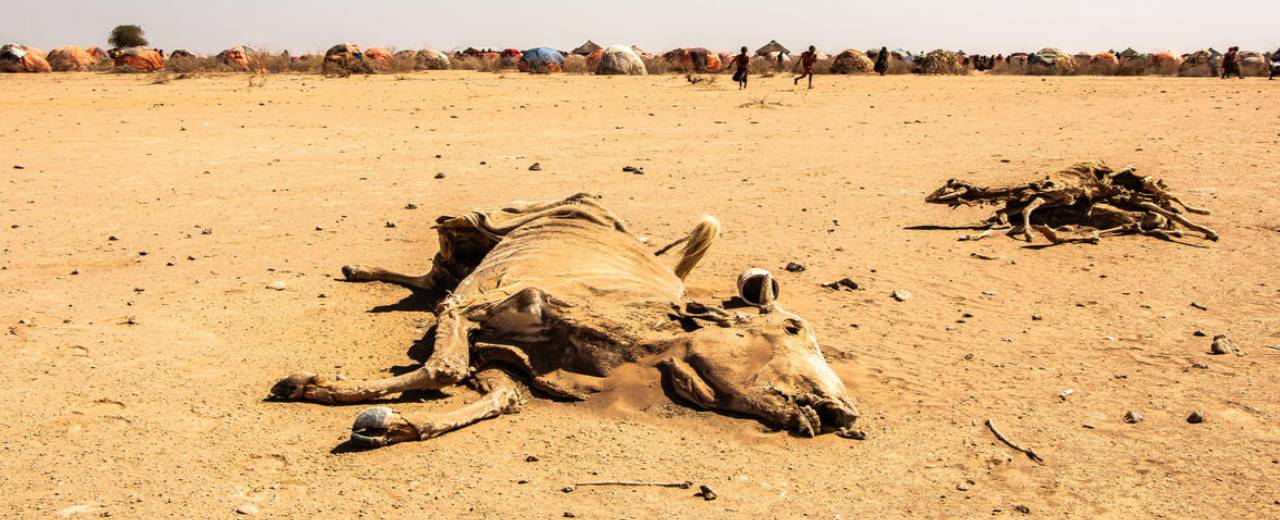 Ethiopia’s worst drought in 40 years threatens to derail gains made in ...