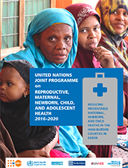 UN Joint Programme on Reproductive, Maternal, Newborn, Child, and ...