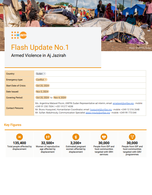 Sudan Flash Update #1 - November 2024