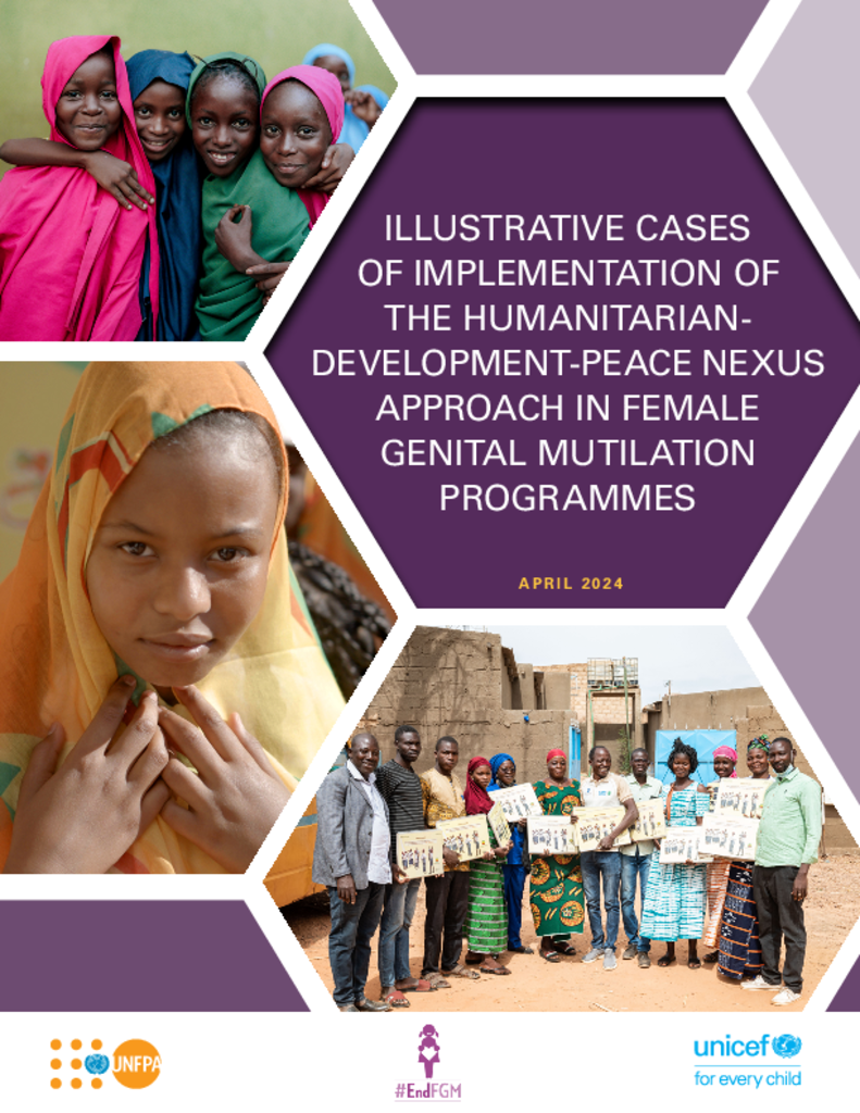  Illustrative Cases Of Implementation Of  The Humanitarian Development-Peace Nexus Approach In Female  Genital Mutilation  Programme