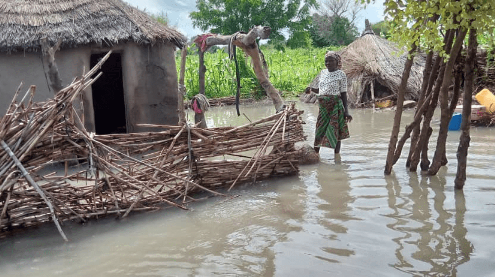  A woman stands in floodwater surrounding a collapsed wooden gate and a house with a thatched roof