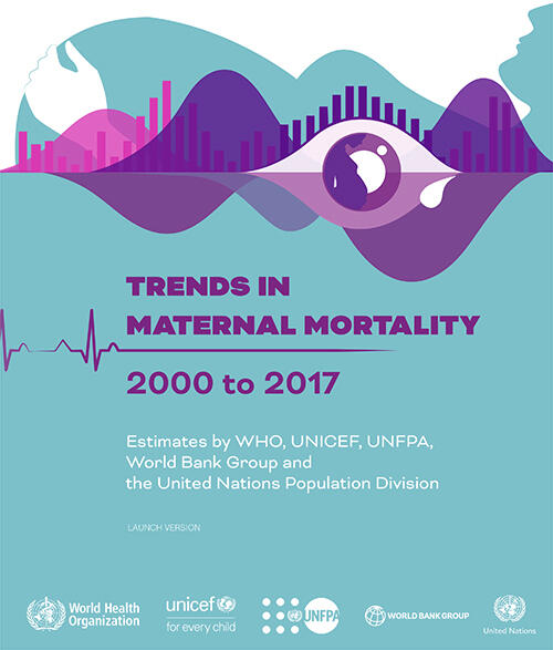 Trends In Maternal Mortality: 2000 To 2017