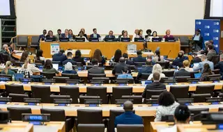 Executive Board of UNDP, UNFPA and UNOPS: Annual session 2024