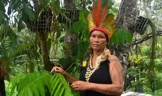 نساء السكان الأصليين في البرازيل يقُلن كفى للعنف القائم على…
