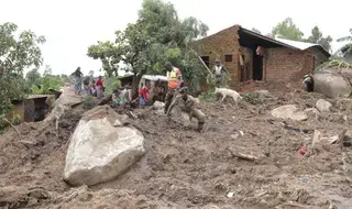Au Malawi, après le passage dévastateur du cyclone Freddy, il…