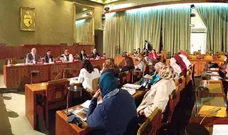 Gender equality guaranteed in Tunisia's new constitution