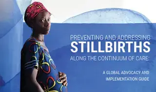 Preventing and addressing stillbirths along the continuum of…