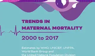 Trends in Maternal Mortality: 2000 to 2017