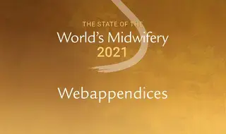 The State of the World’s Midwifery 2021: Webappendices