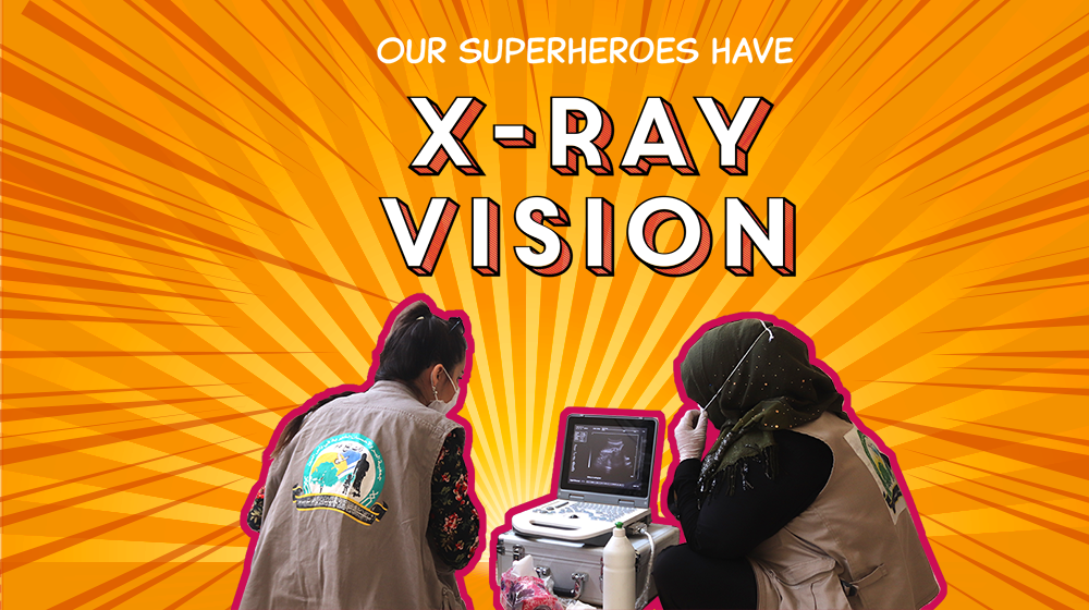 A photo illustration shows health workers looking at a sonogram machine. The text says, "Our superheroes have x-ray vision."